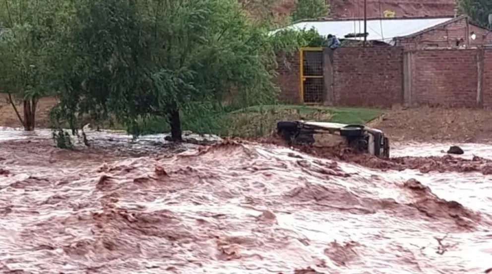 Destrozos y un barrio aislado por la tormenta en Rincón de los Sauces 