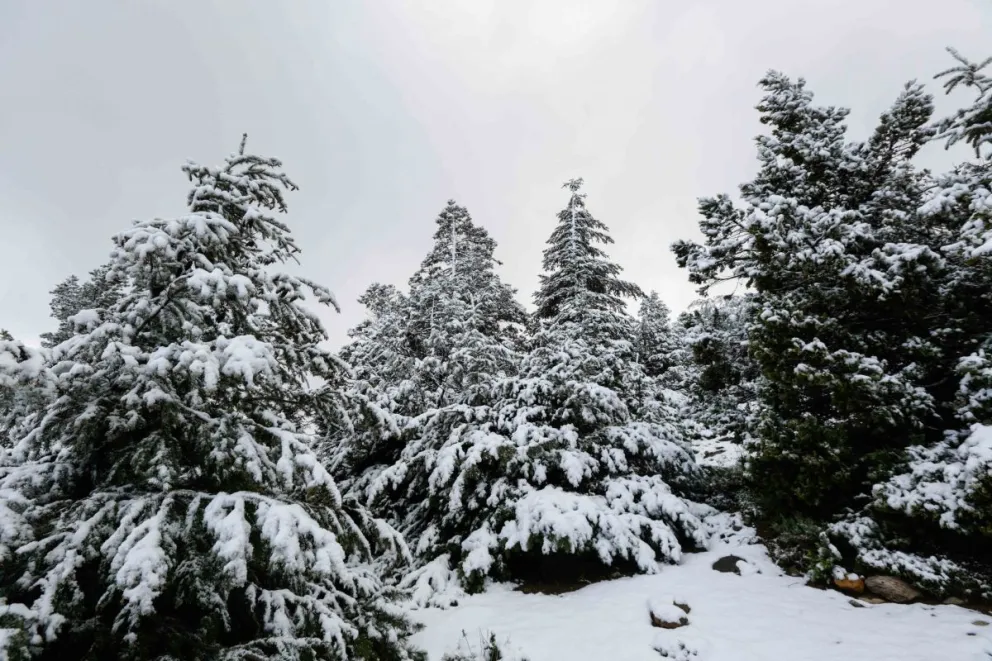 Sigue el alerta por intensas nevadas en el Parque Nacional Nahuel Huapi y Parque Nacional Los Arrayanes