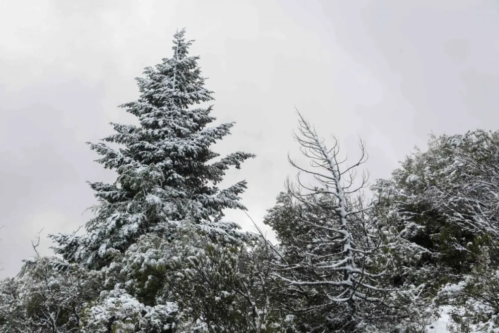 Cierran sendas por fuertes vientos, lluvias, y nevadas en los Parques Nacionales Nahuel Huapi y Los Arrayanes
