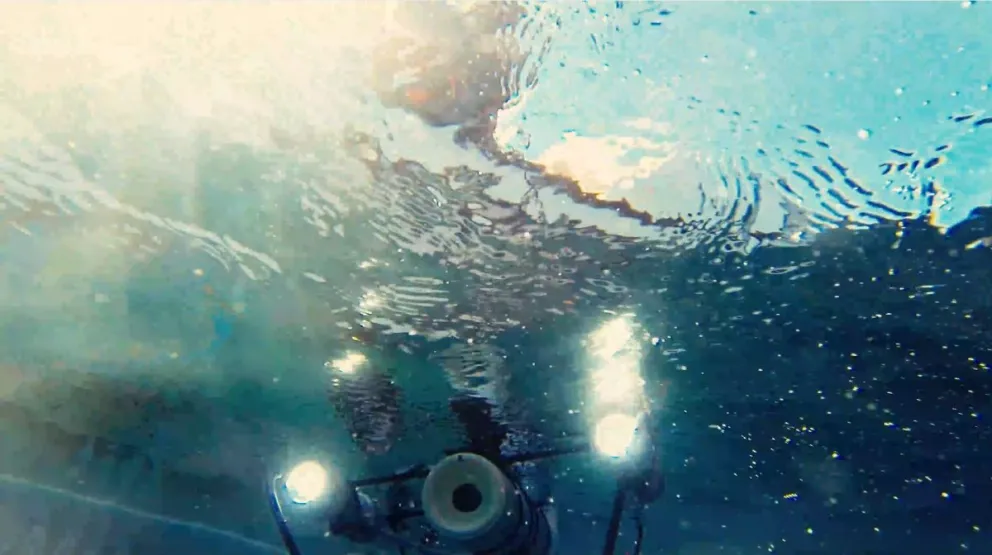 Se encontraron con rarezas en las profundidades del Nahuel Huapi