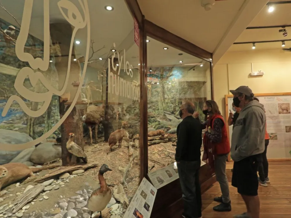 Alrededor de 650 personas visitaron el Museo de la Patagonia el pasado viernes
