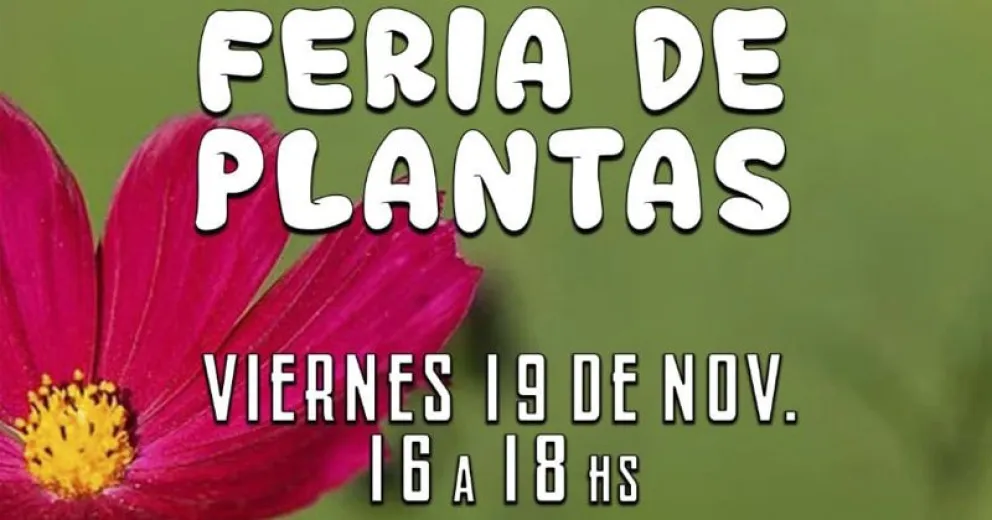 Segunda Feria de plantas en Cre-Arte