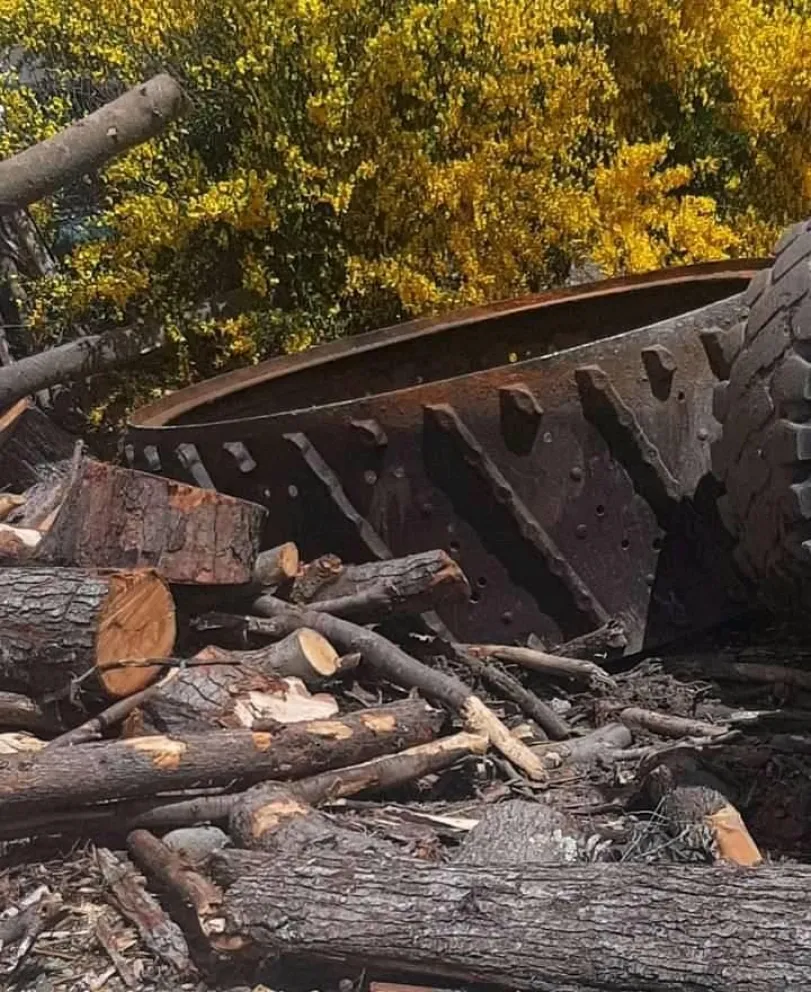 La comuna informó que le darán un destino a la pieza histórica