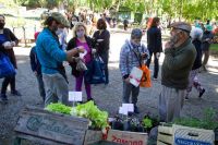 La Feria "de la plaza Belgrano” se muda al Santo Cristo