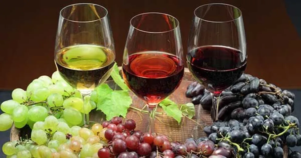 Día del vino argentino: cómo se originó la fecha y cuáles son las variedades más reconocidas 