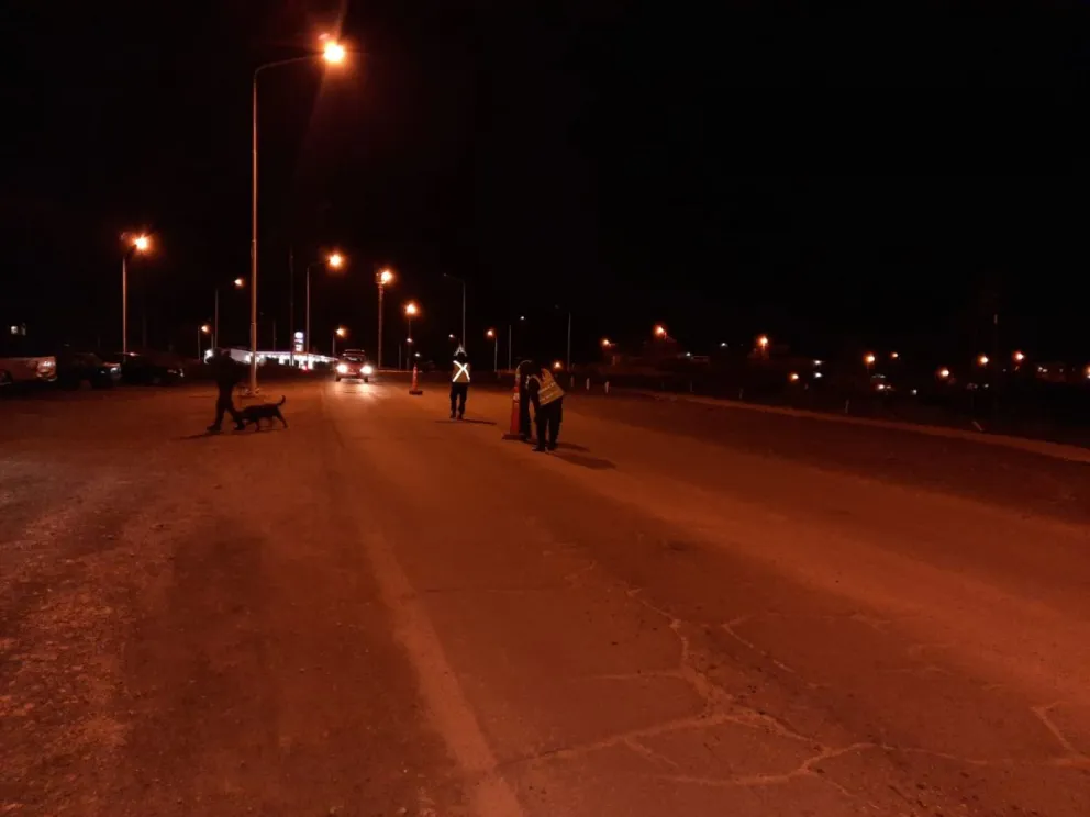 Circulaba con 2,65 de alcohol en sangre: fue descubierto en un control vial