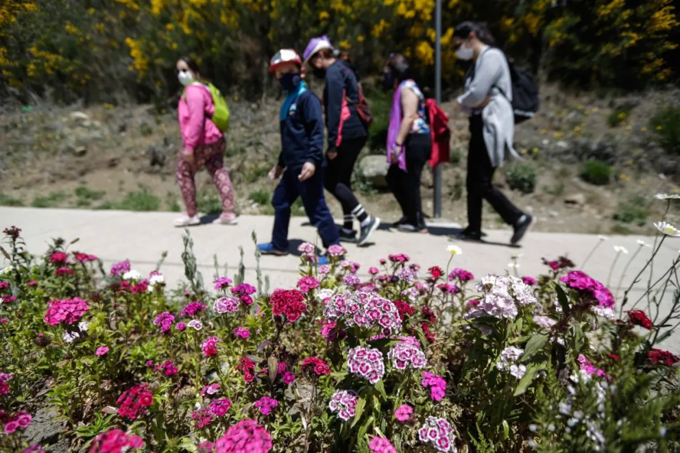 Caminata para concientizar sobre prevención de situaciones que pueden provocar enfermedades cancerígenas