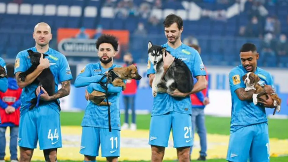 Los jugadores del Zenit salieron al campo con perros en brazos para fomentar la adopción