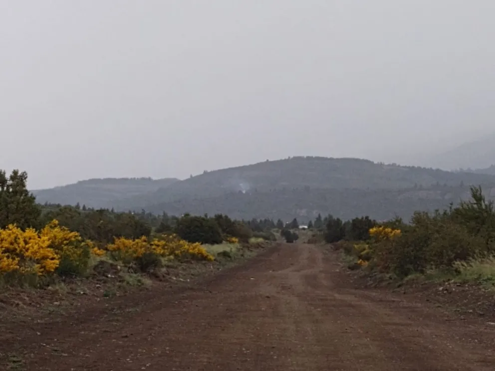 Combaten un incendio forestal en La Paloma y otro en la zona del cerro López