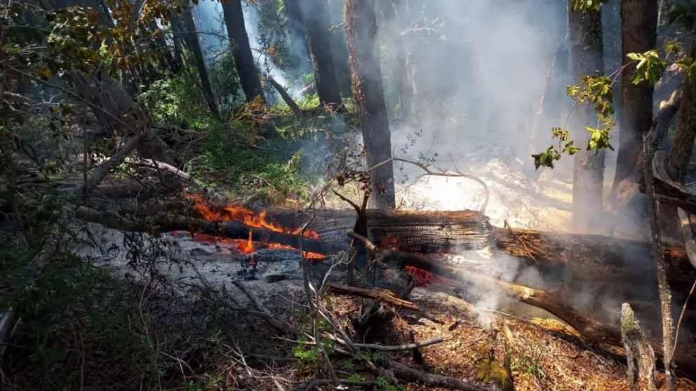 Realizan trabajos de enfriamiento en la zona del incendio en Llao Llao
