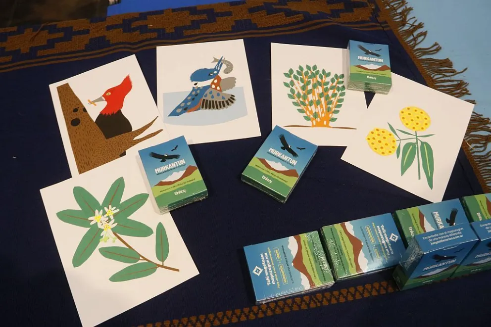 Mônica Bussmann ilustró cartas mapuches