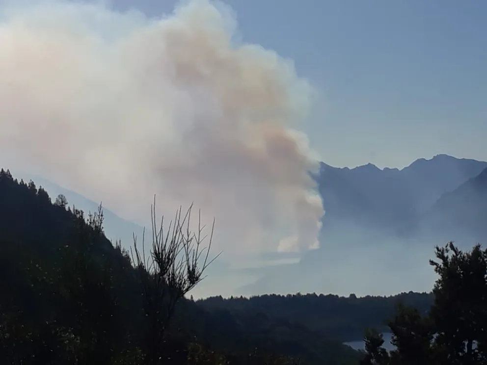 Aseguran que el incendio se pudo prevenir