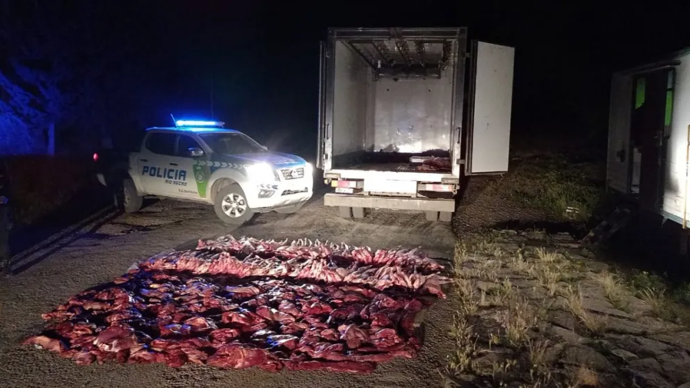 La Brigada Rural de Bariloche secuestró más de 800 kilos de carne faenada clandestinamente