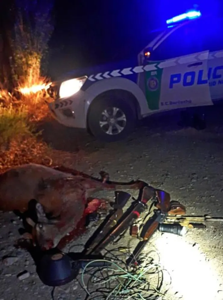 Detuvieron a cinco ocupantes de una camioneta con un ciervo y varias armas de fuego