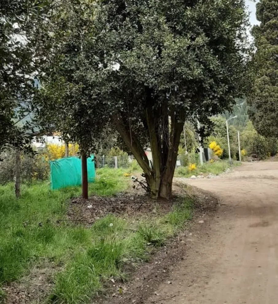 La Plaza, Mi Lugar invita a diseñar y compartir un espacio público