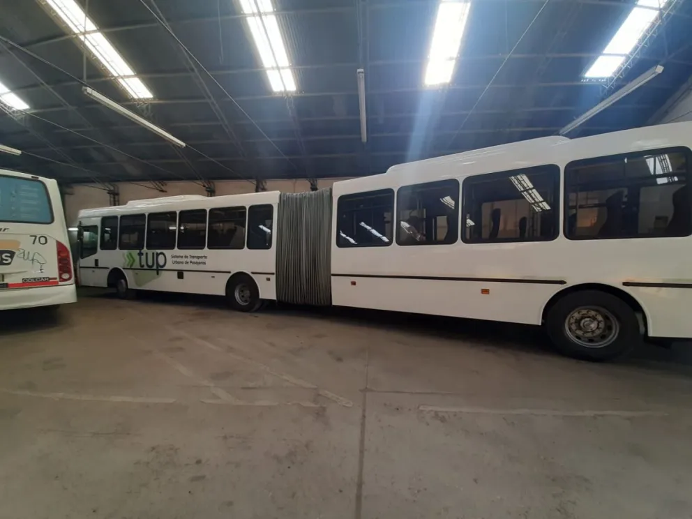 Llegaron los reemplazos para los vehículos de Mi Bus