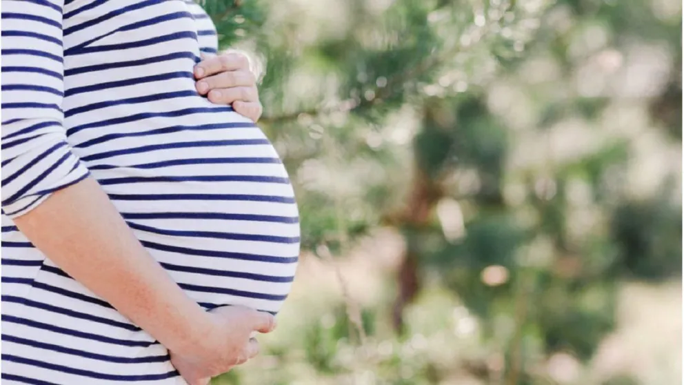 Una pareja de Bariloche podrá tener un hijo, que será gestado por la hermana de uno de sus integrantes