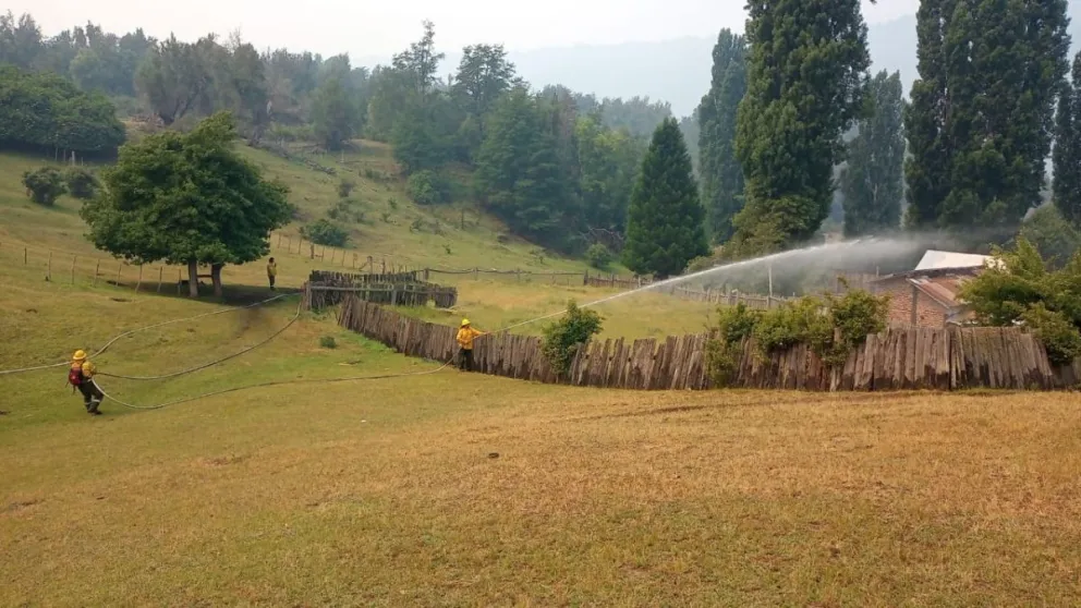 Se reactivó la columna principal de fuego en el incendio hacia el lago Steffen  