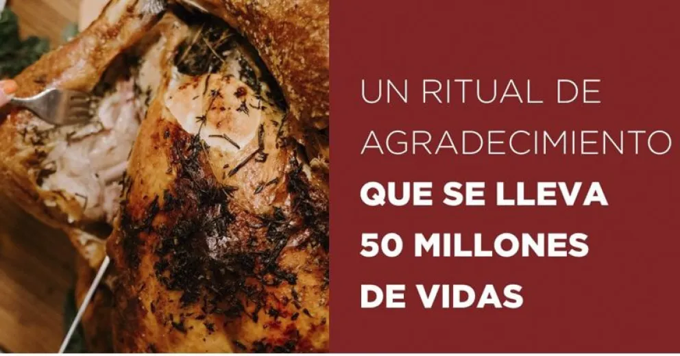 Invitan a celebrar estas fiestas sin victimizar animales de ninguna especie