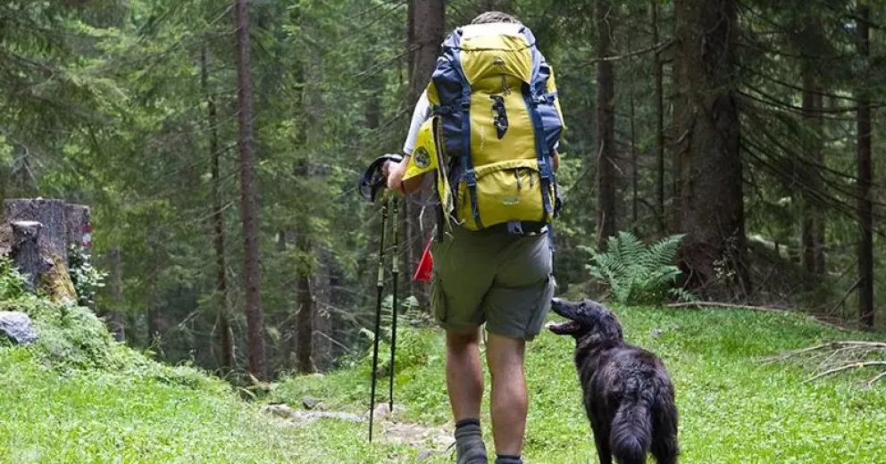 Recuerdan prohibición de concurrir con mascotas a los Parques Nacionales 