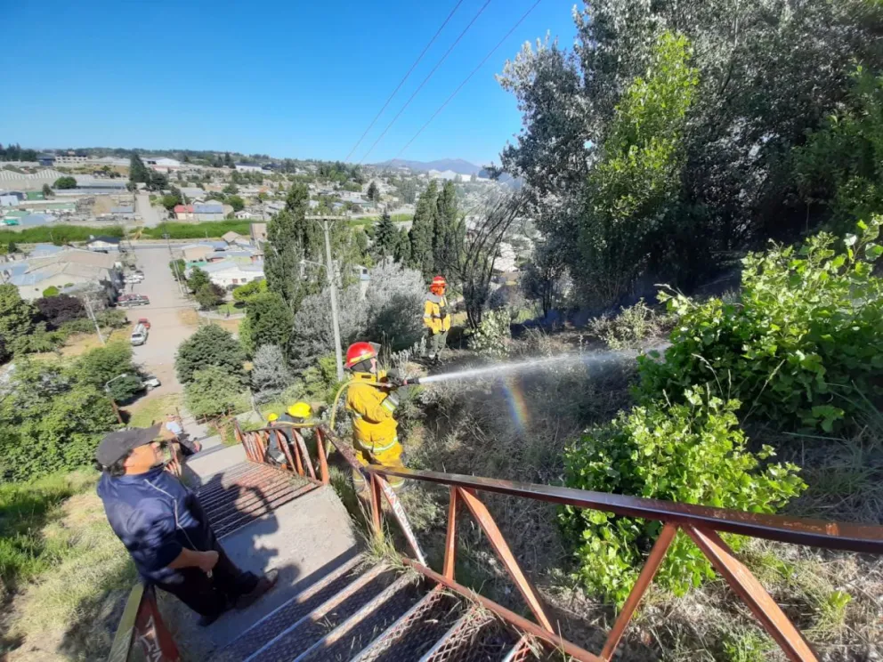 Intensos trabajos para controlar un incendio en la barda del Ñireco