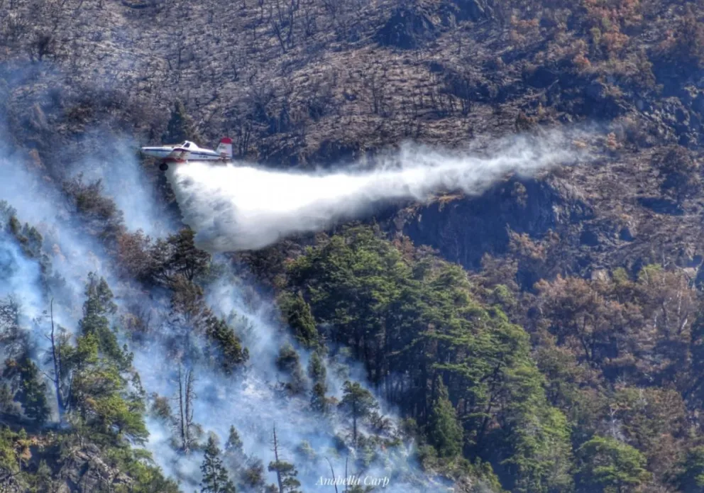 Incendio en el Steffen: el viento complica las tareas de los brigadistas 