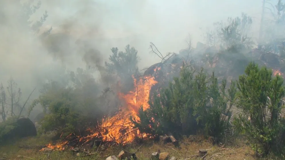 El fuego del Currumahuida ataca varios frentes