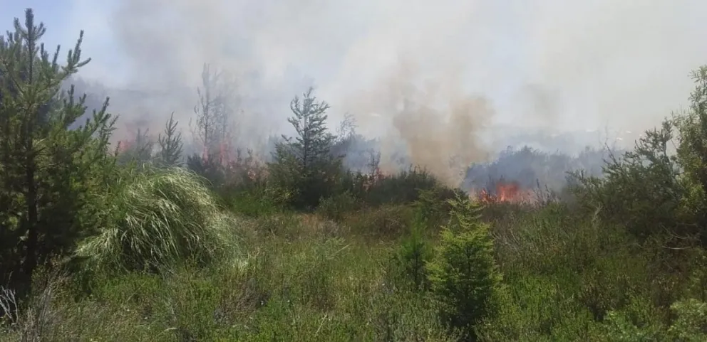 Controlaron incendio a la vera de ruta de Circunvalación