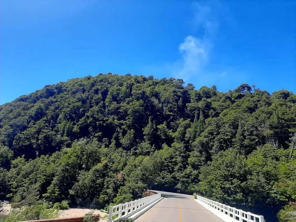 Buen y mal carácter, y las posibles causas del fuego