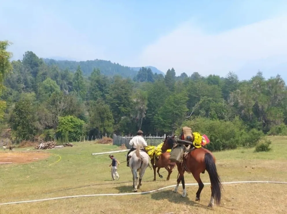 Informan que el frente del incendio no avanzó hacia las poblaciones hoy  