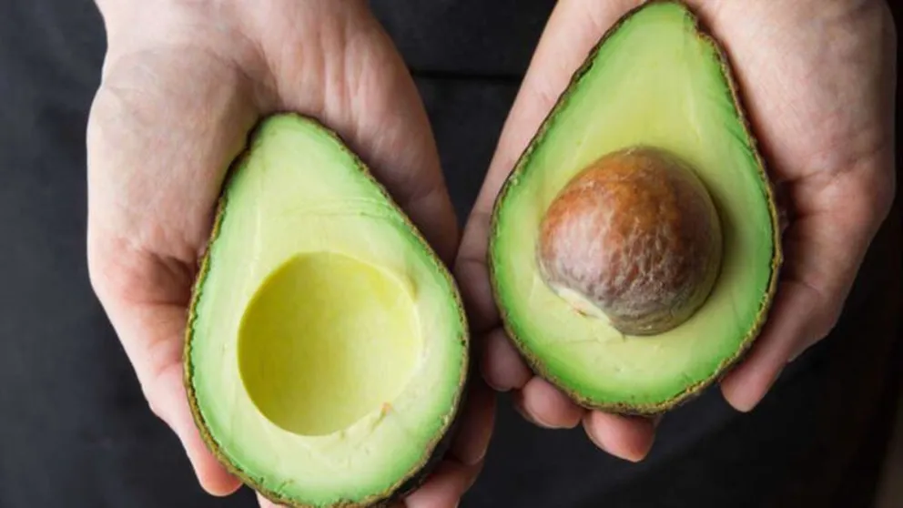 Para fanáticos de las paltas: 4 recetas para disfrutarlas 