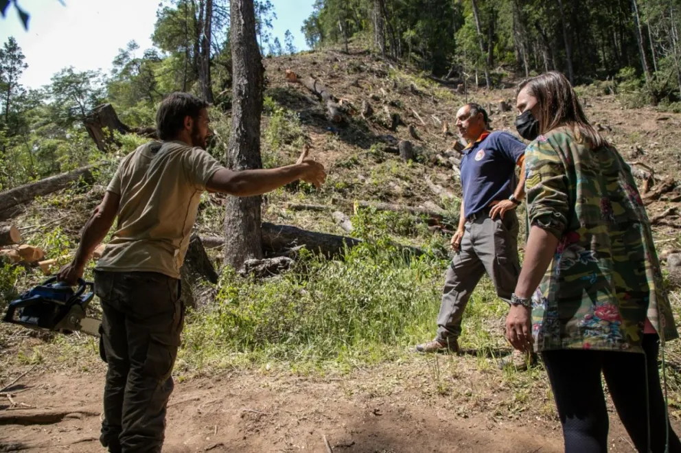 El clima dio un respiro a los brigadistas en la zona de Villegas y El Manso