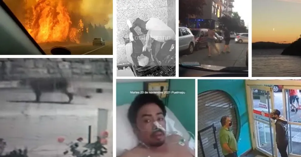 Los 21 videos más vistos del 2021: Un puma en el centro, incendios, peleas y “fenómenos paranormales”