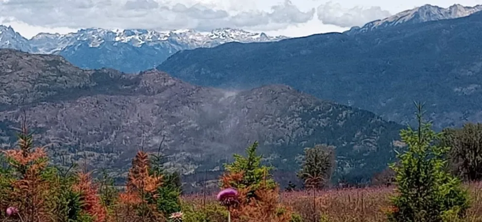 Declararon controlado al incendio en el Currumahuida