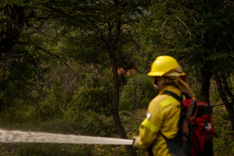Reporte de este lunes del incendio en lago Martin