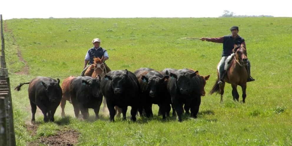 Bono de fin de año: un extra de $20.000 recibirán los trabajadores rurales 