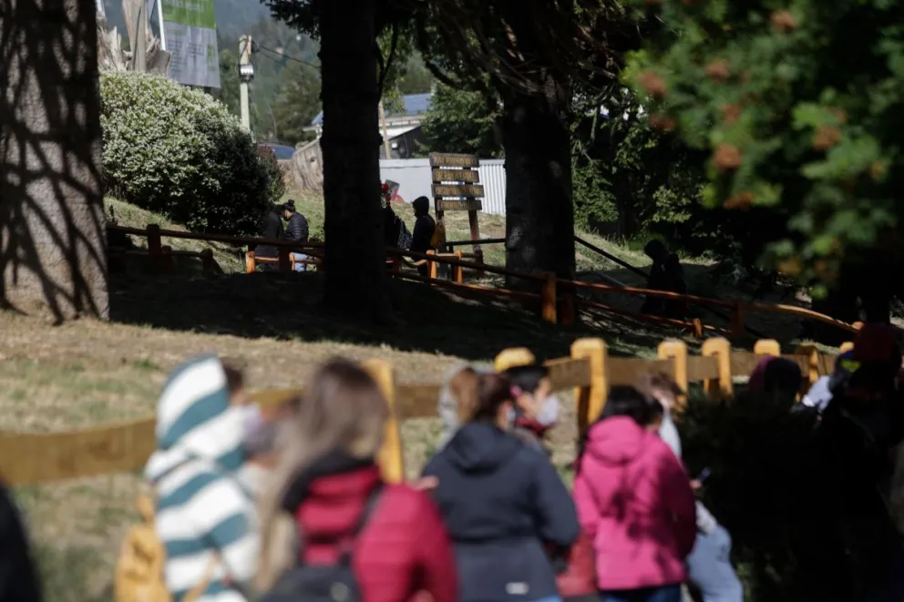 En una semana se registraron, en promedio, 3.623 contagios, 517 por día y 22 por hora 