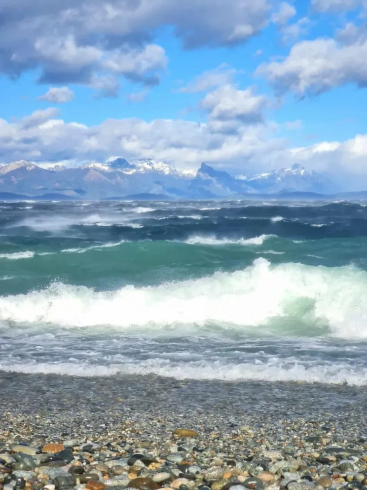 Jornadas con riesgo de caída de árboles.