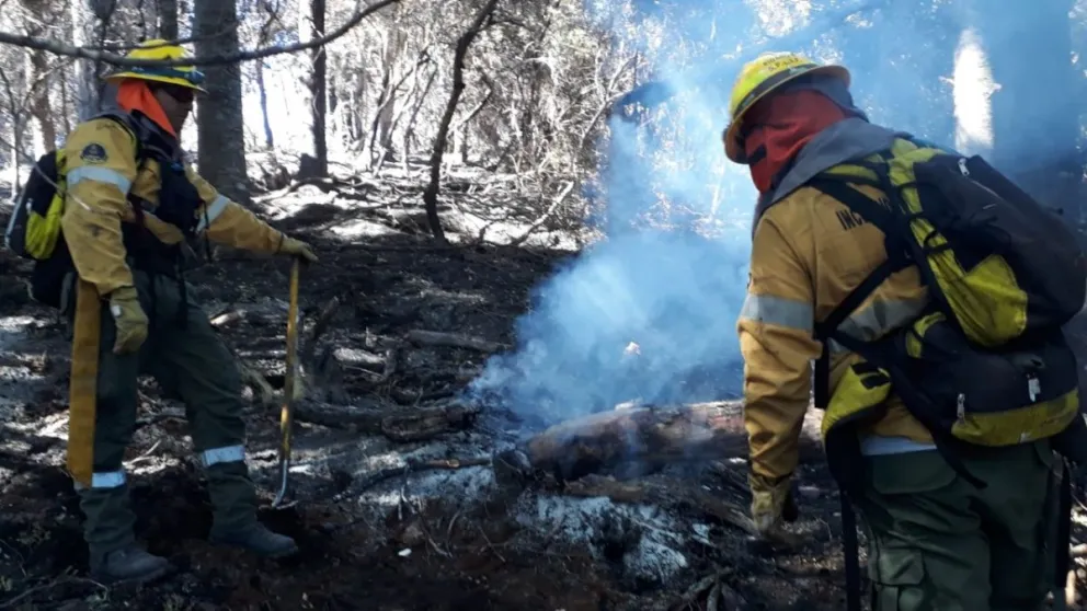 Confirman que el incendio en lago Martin afectó unas 5438 hectáreas