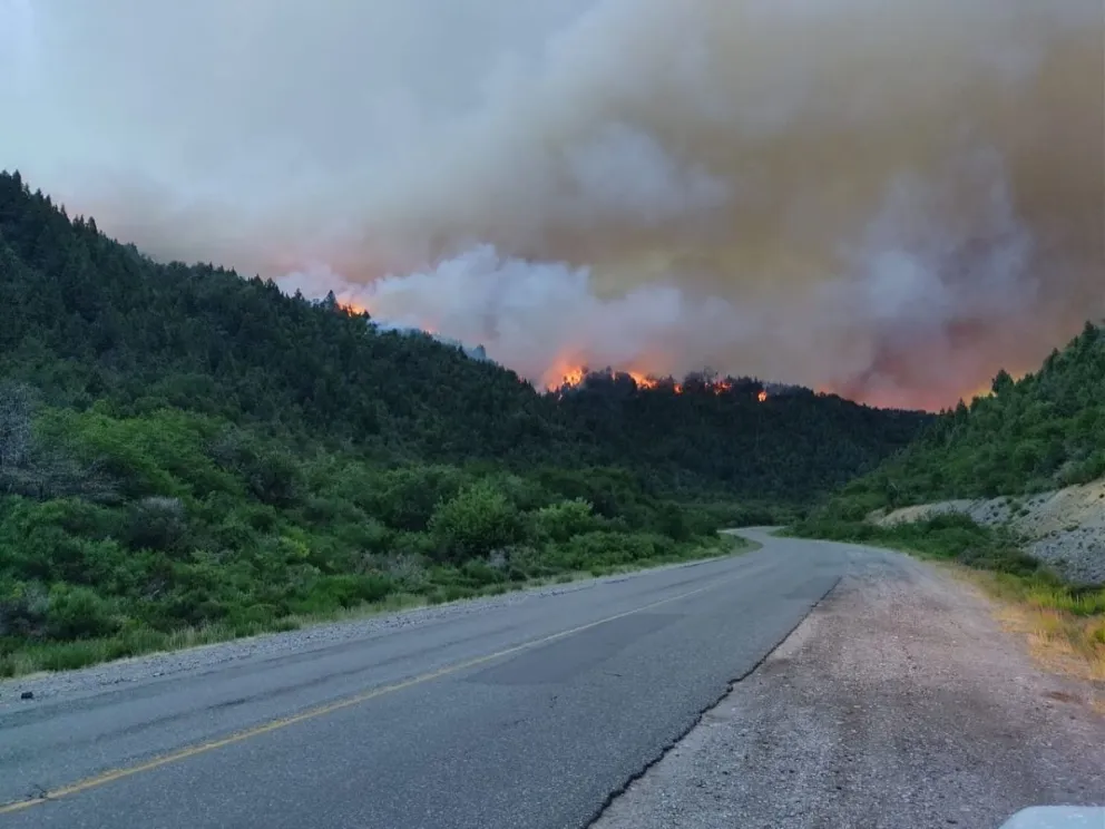 RN 40: corte total entre El Foyel y el acceso al cerro Tronador