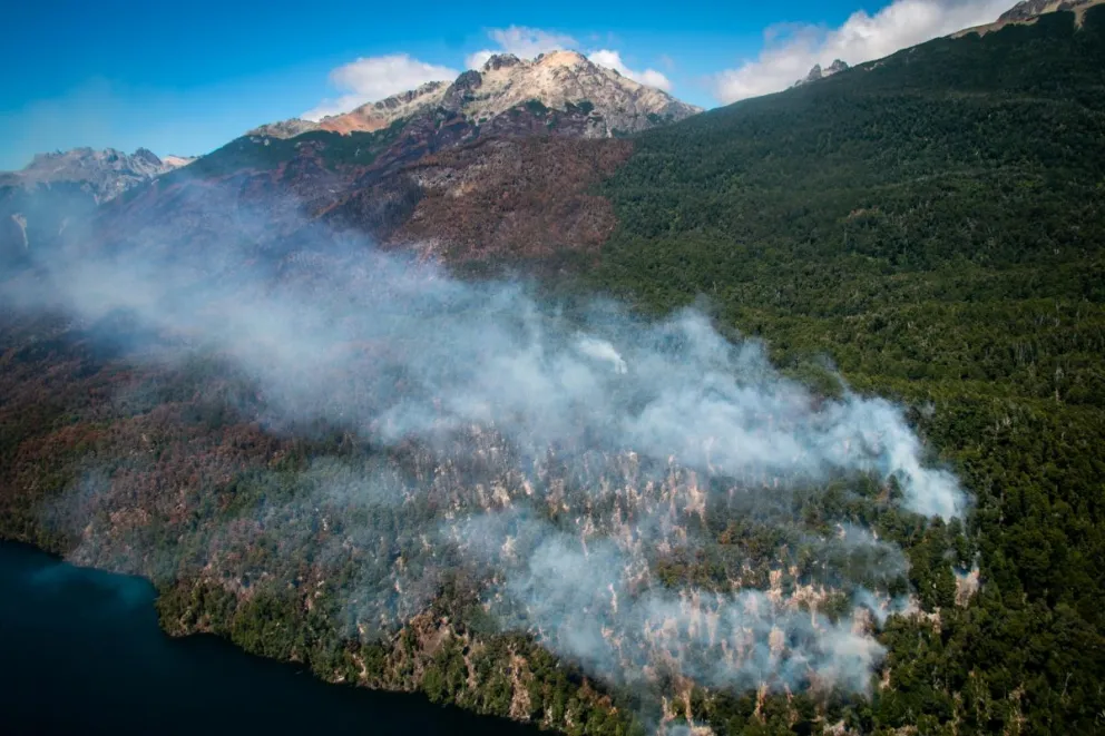Lanzan subsidios para el manejo de bosques nativos