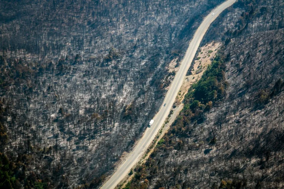 ¿Cómo se trabaja desde Parques tras los incendios en los lagos Martin y Steffen?