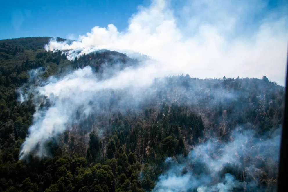 “¿Le pidieron aviones a Putin, o van a seguir dejando que se queme todo?”