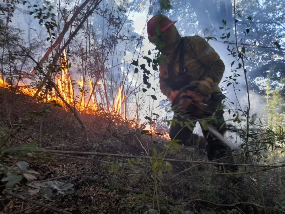 El fuego sigue descontrolado en la mayor parte del área afectada y los vientos no ayudan 