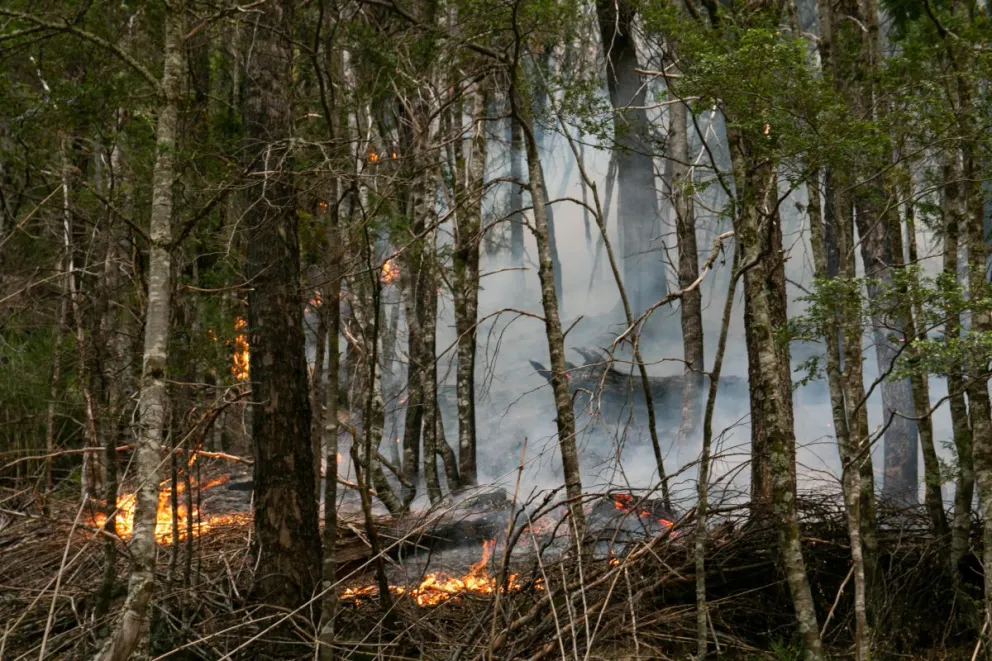 No llovió considerablemente en la zona del incendio y crece la preocupación