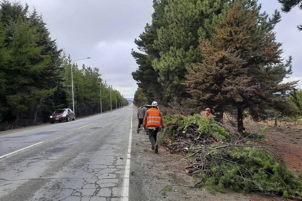 Piden precaución al circular en el acceso al aeropuerto por trabajos de limpieza