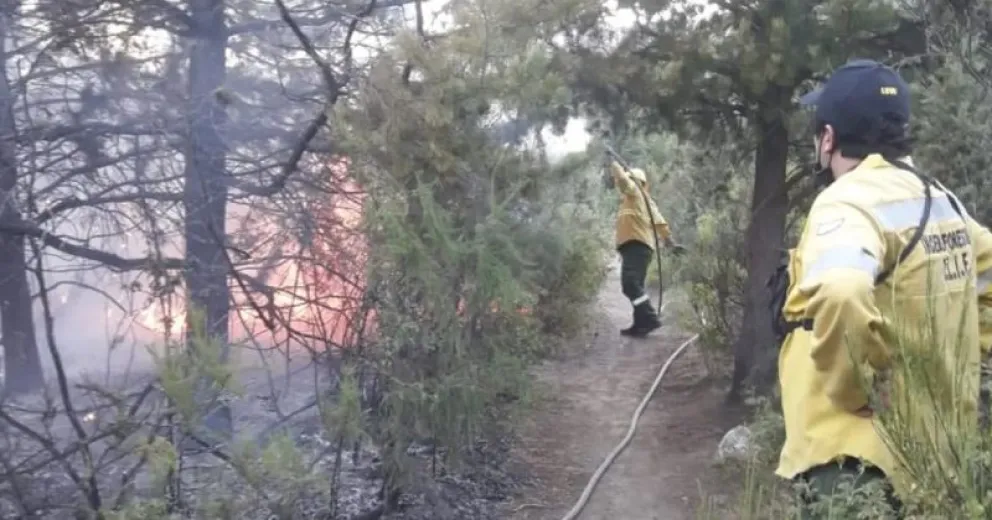 Una colilla de cigarrillo habría iniciado un incendio en el aeródromo