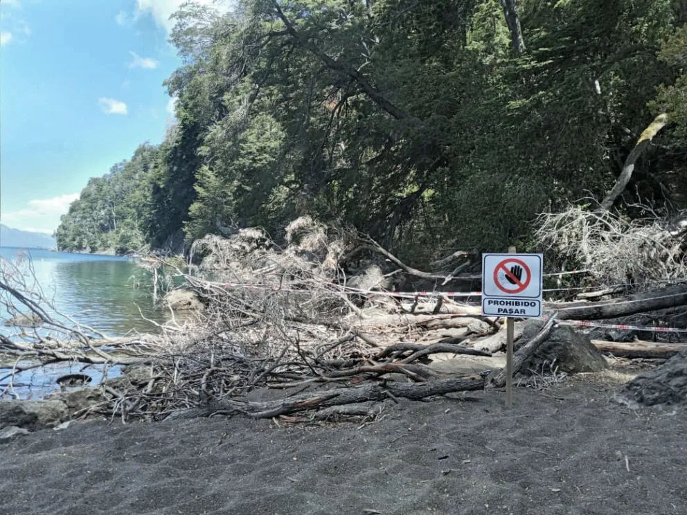 Cerraron un sector de Bahía Mansa por riesgo de caída de árboles