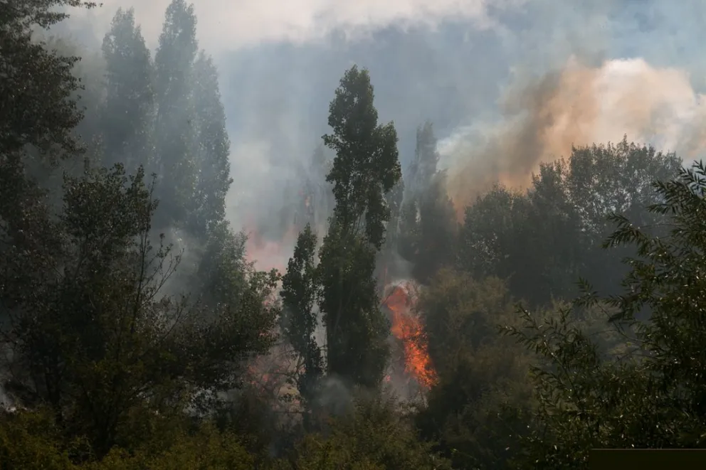 Río Negro cuenta con un nuevo sistema de alerta temprana de incendios