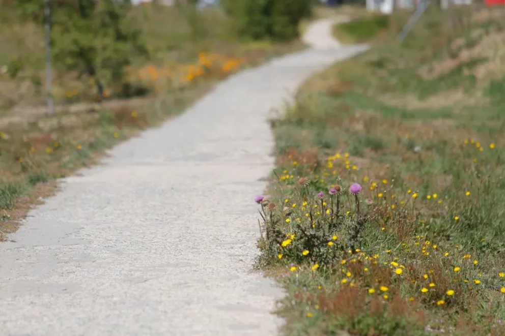 La bicisenda de Dina Huapi muestra un abandono importante